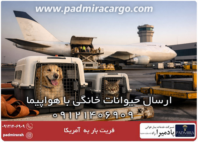 ارسال حیوانات خانگی با هواپیما ،ارسال سگ و گربه به خارج از کشور