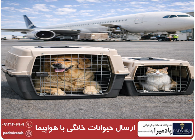 ارسال حیوانات خانگی با هواپیما